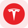 What is Tesla(rTSLA)