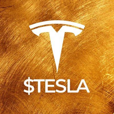 什麼是 TESLASOLX(TESLA)