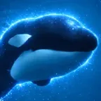 The Alpha Orca (Sophia) converter at calculator