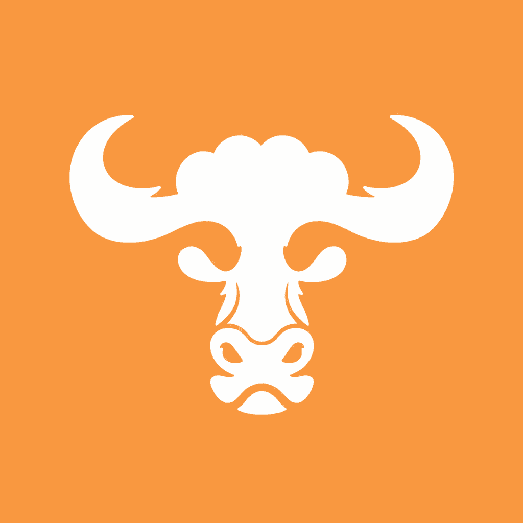 The Bull Coin