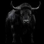 Conversor y calculadora de The Bull (BULL)