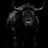 BULL
