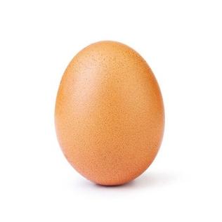 Qu'est-ce que THE EGG(EGG)