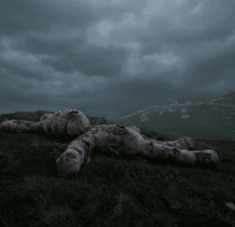 What is The Forgotten Rabbit(Hase)