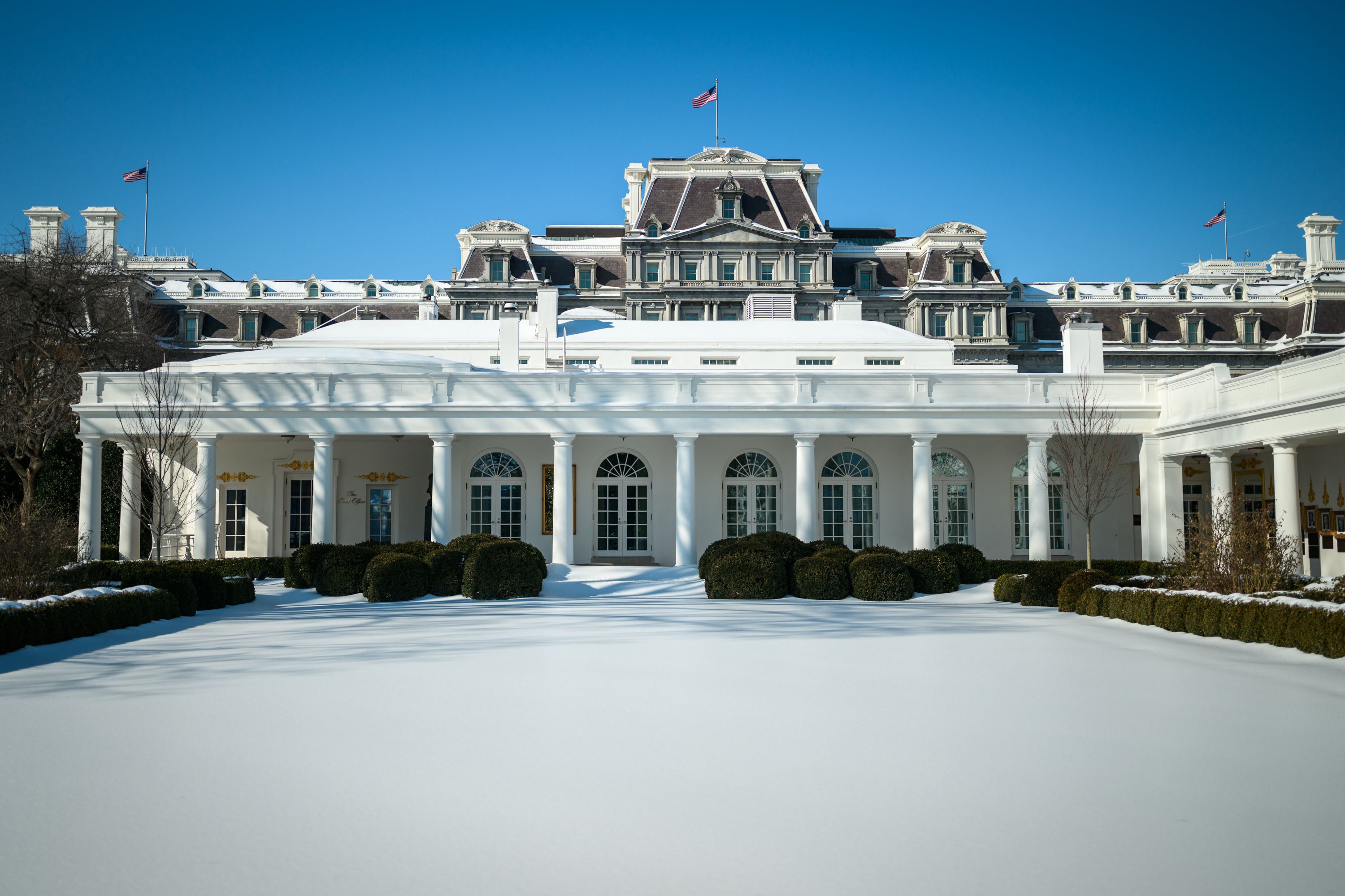 Was ist The Icy House(ICY)