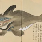 Conversor e calculadora de The Japanese Whale (JapanWhale)