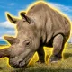Cena The Last White Rhino