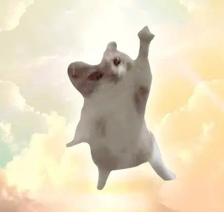 [如何出售] the rising (rise)