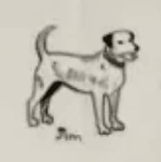 What is The Royal Dog(Jim)