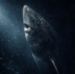 The Sleeper Shark(Shark) là gì?