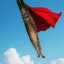 The Supercat