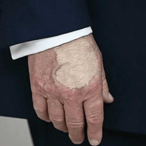 The Trump Foundation price