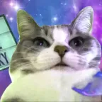 Conversor y calculadora de THIS CAT IS C H O N K Y (CHONKY)