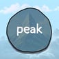 this coin has no peak（PEAK）の売却方法