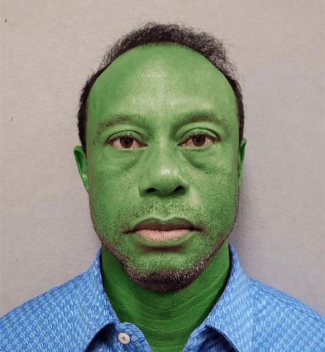 Qu'est-ce que Tiger Woods(TEPE)