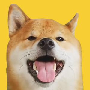 Cos’è Tofu Chan(TOFU)