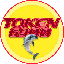 Token6900