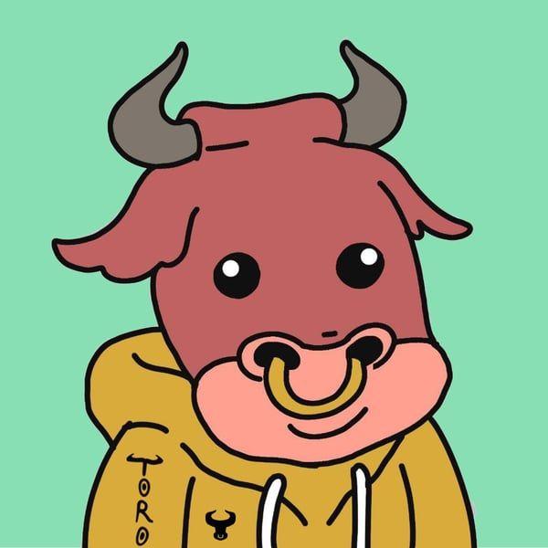What is Toro Bulls(TORO)