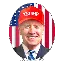 TrumpWifBiden (TWIFB) çevirici və kalkulyator