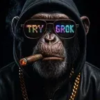 أداة تحويل وحاسبة عملة TRY GROK (GROK🔥)