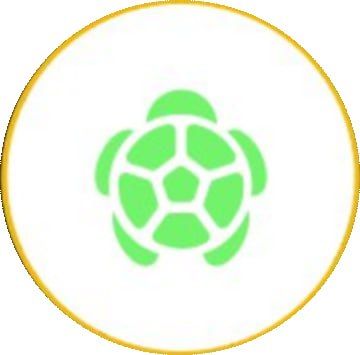 turtle🥇⭕ Narxi