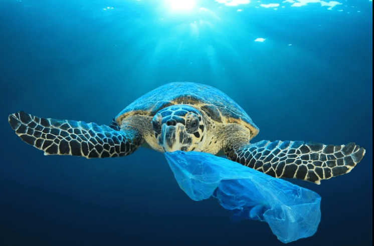What is Unbagging The Ocean(UNBAGGED)