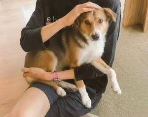 Czym jest VB rescued  CHUCKY(Chucky)