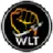 WLT