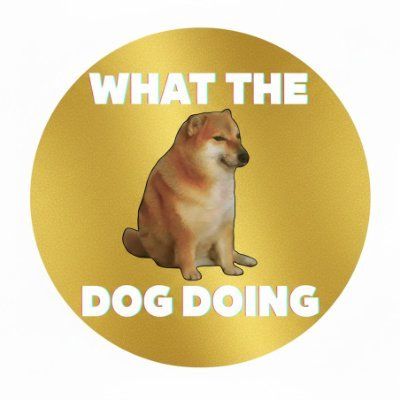 Czym jest what the dog doing(刀盾)