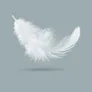 White Feather Movement