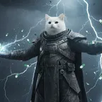 WHITECATS (WHITECATS) converter and calculator