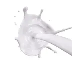 Convertitore e calcolatore di whiteliquid (wl)