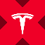 Wrapped Tesla Tokenized stock (xStock)