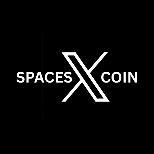 What is X SPACES COIN(SPACES)