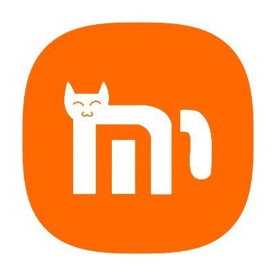 Xiaomicat price