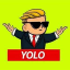 YOLO (yolorh.com)(YOLO)とは
