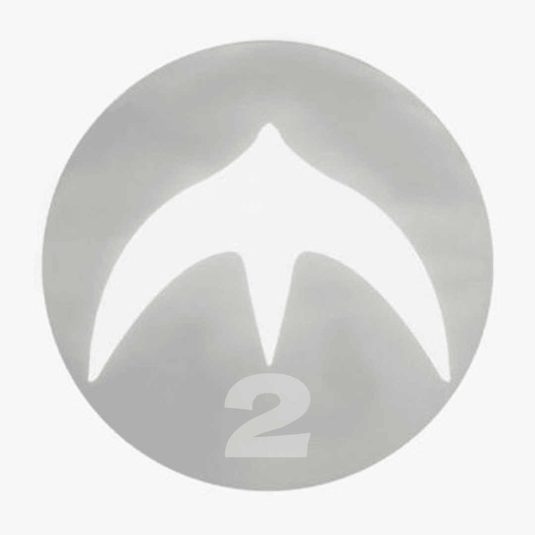 什么是 YZY2(YZY2)