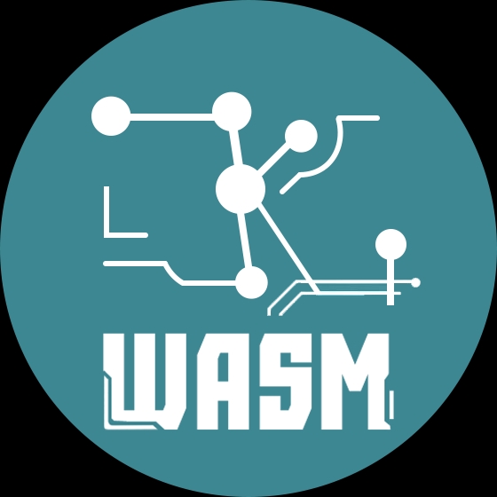 What is ZKWASM(ZKWASM)