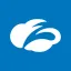 Zscaler Inc (Derivatives) price