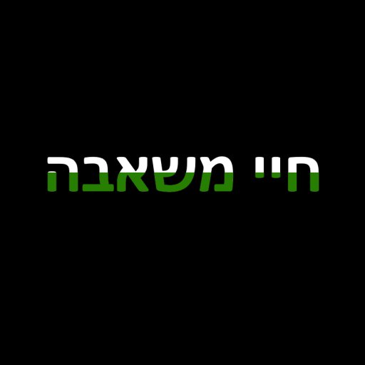 חיי משאבה 價格