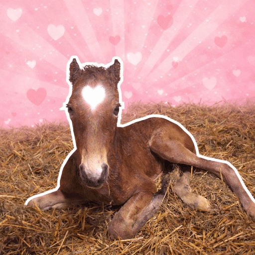 什麼是 ハートくん(Heart-kun)