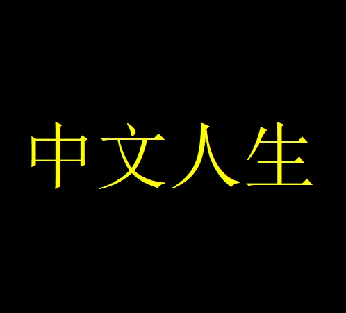 中文人生の価格
