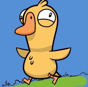 Was ist 呆呆鸟下一个RTC(呆呆鸟)