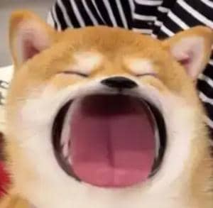 哇哇