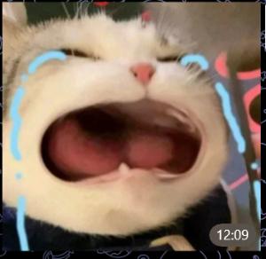 Cos’è 哭哭猫(哭哭猫)