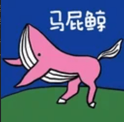 What is 国内真正的鲸鱼(马屁鲸)