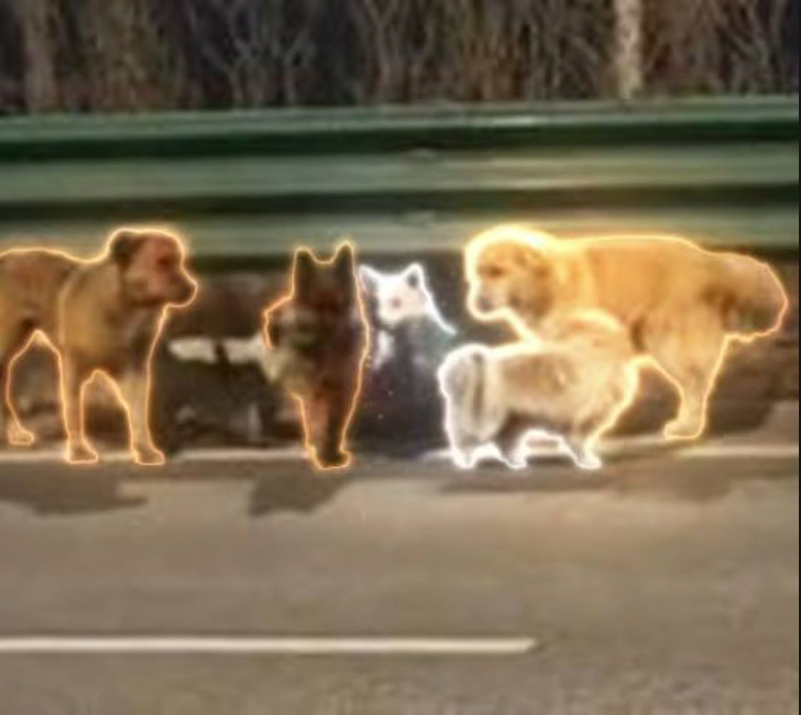 Was ist 大胖  The 7 Wanderers(7)