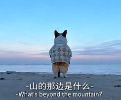 山的那边是什么(山的那边是什么) nima