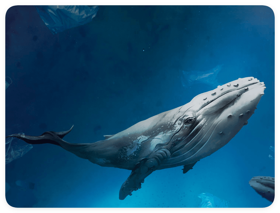 Як продати 巨鲸币-whale coin (巨鲸币)