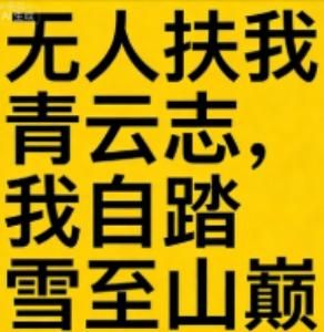 Was ist 无人扶我青云志，我自踏雪至山巅(无人扶我青云志，我自踏雪至山巅)